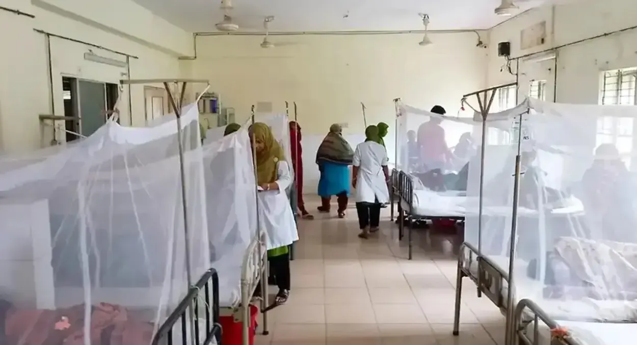 খুলনা বিভাগে ডেঙ্গুর থাবা আরও তীব্র: ২৪ ঘণ্টায় মৃত ৩, নতুন রোগী ৩০২