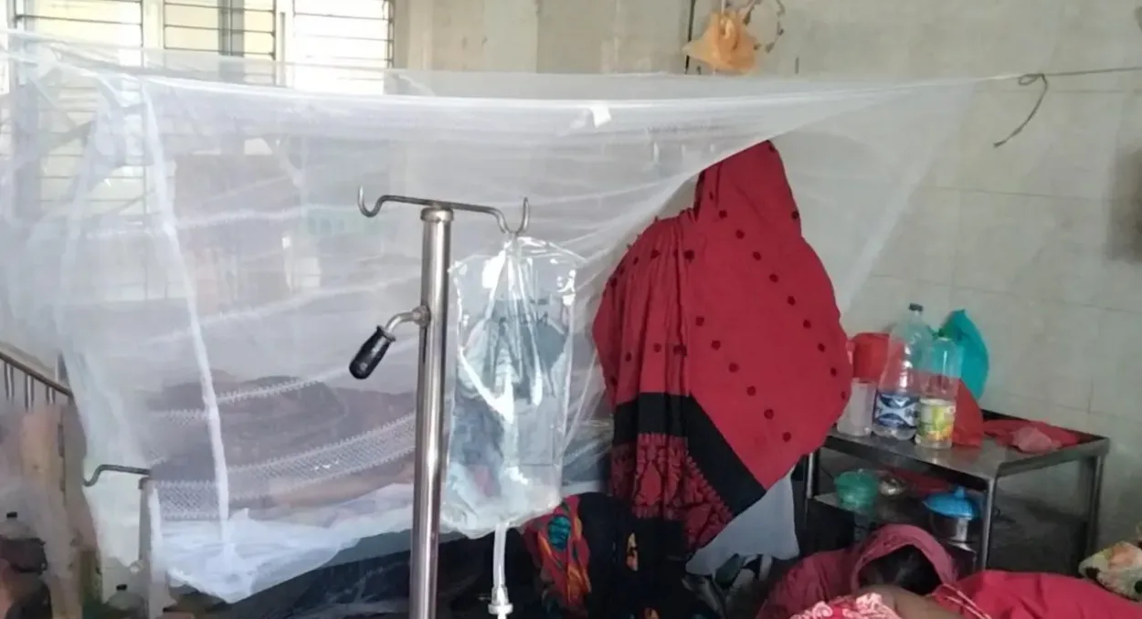 চাঁপাইনবাবগঞ্জ জেলা হাসপাতালে ডেঙ্গুর প্রকোপ অব্যাহত নতুন আক্রান্ত ৪২ জন