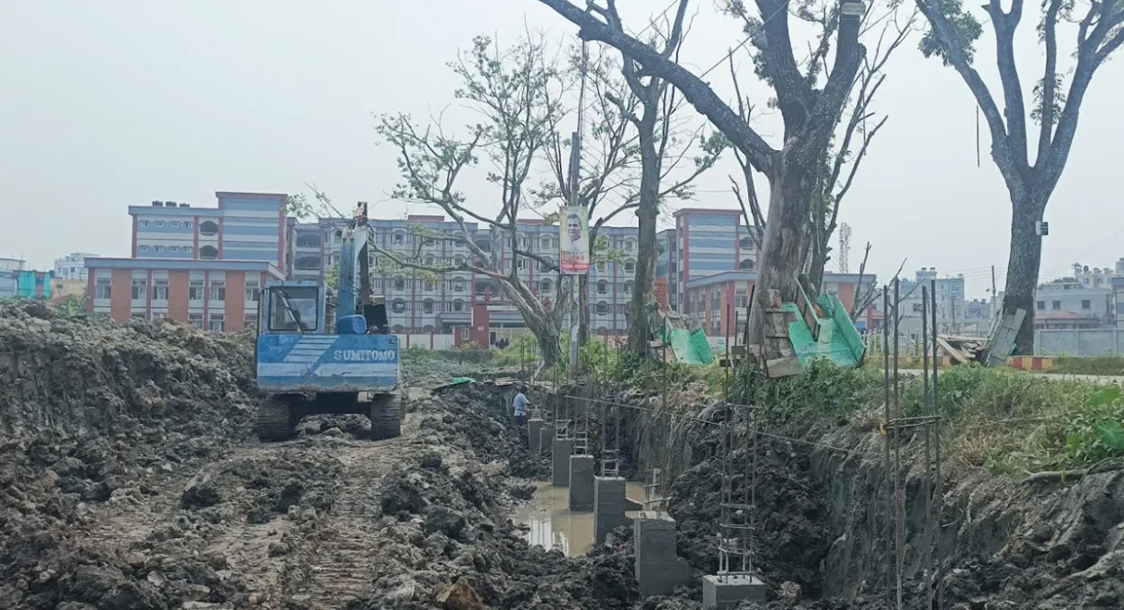 কলেজের সীমানাপ্রাচীর নির্মাণে ঝুঁকিতে দুই যুগের ২৪ মেহগনি গাছ