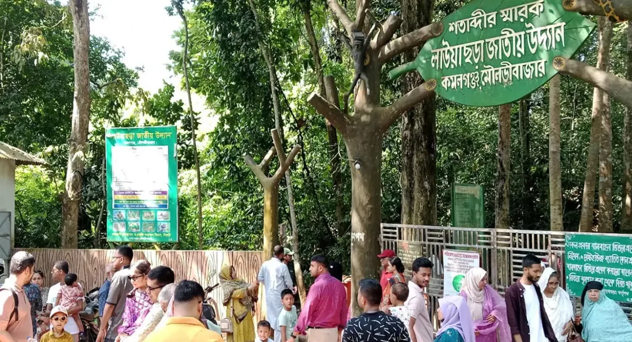 লাউয়াছড়ায় পর্যটকের উপচে পড়া ভিড়