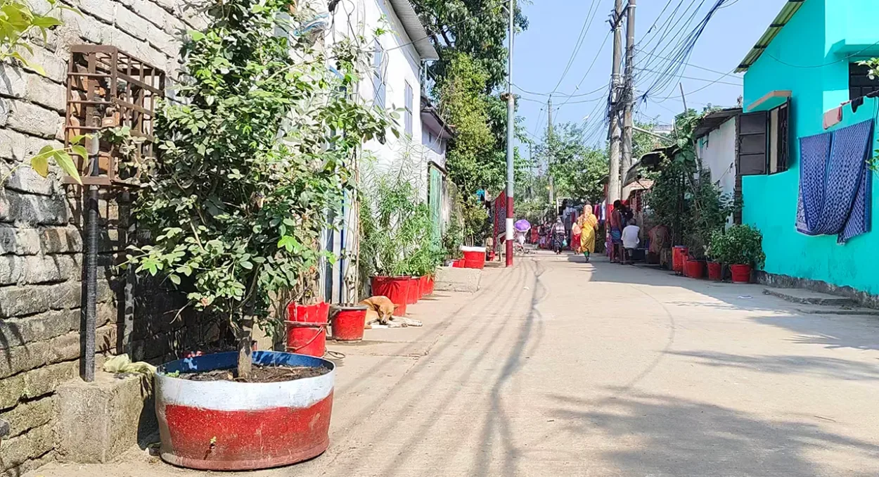 বস্তি থেকে ‘সবুজ কলোনি’, প্রধানমন্ত্রীর নজরে বাঁশবাড়ির ব্যতিক্রমী উদ্যোগ