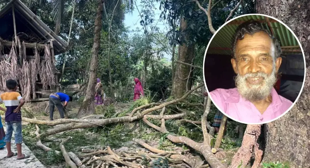 গাছের ডাল মাথায় পড়ে প্রাণ গেল বিএনপি নেতার