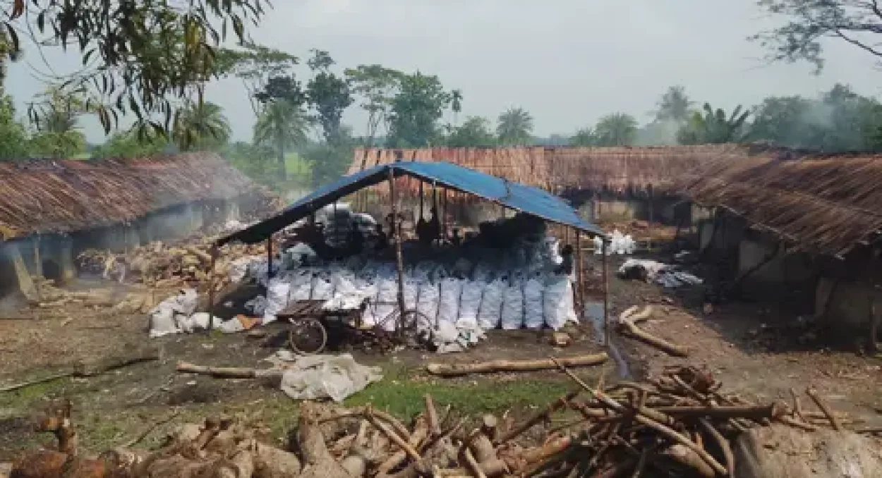 কাঁঠালিয়ায় অবৈধ চুল্লিতে কাঠ পুড়িয়ে কয়লা তৈরির ধুম জনস্বাস্থ্য চরম ঝুঁকিতে