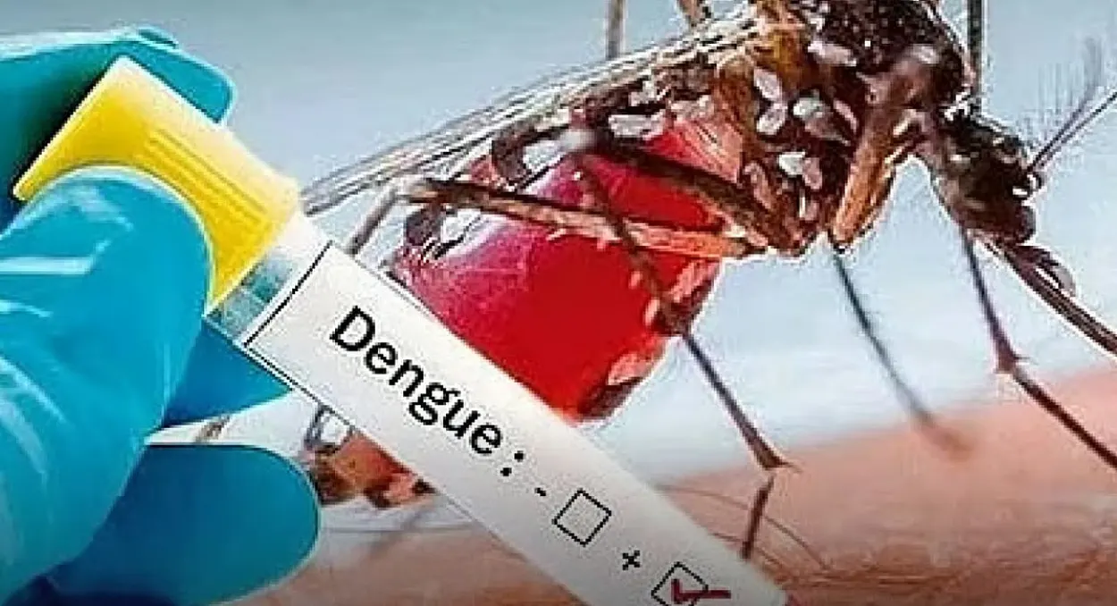 Bangladesh Reports Highest Single Day Dengue Deaths This Year With Nine Fatalities