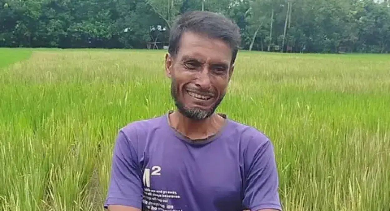 সাঘাটায় বিরোধের জেরে দেড় বিঘা জমির ধান বিষপ্রয়োগে নষ্ট করার অভিযোগ