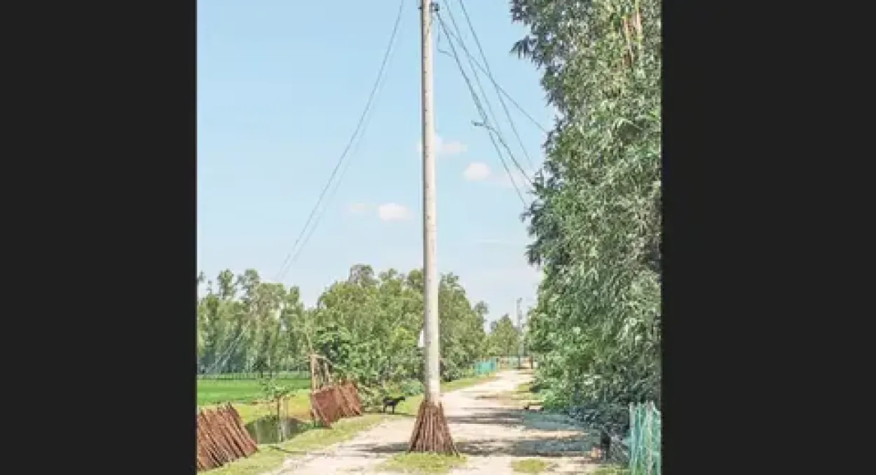 কুড়িগ্রামের ফুলবাড়ীতে ওয়াপদা সড়কের মাঝখানে বিদ্যুতের খুঁটি, চরম দুর্ভোগ ও দুর্ঘটনার আশঙ্কা