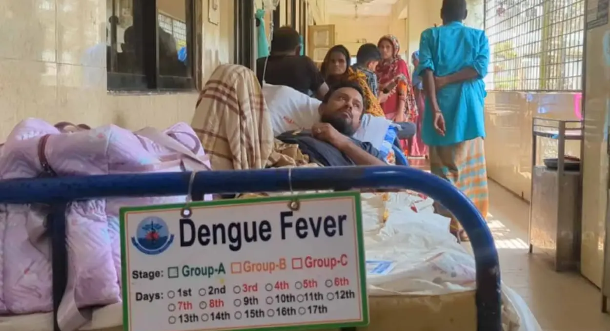 পটুয়াখালীতে ডেঙ্গুর প্রকোপ, হাসপাতালে বাড়ছে রোগী
