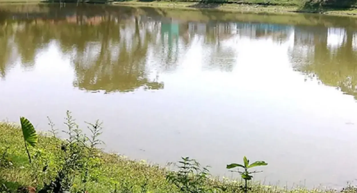 যশোরে সড়ক দুর্ঘটনায় দুইজন নিহত ও চারজন আহত