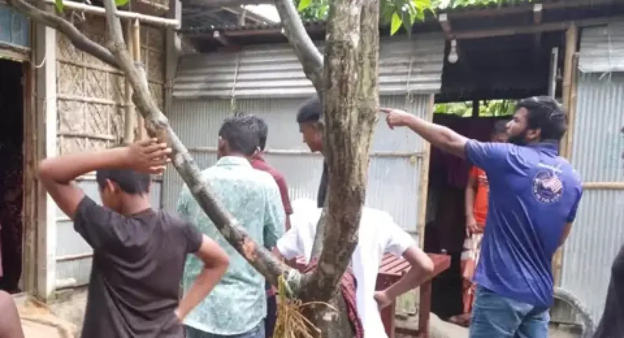 স্কুল থেকে ফিরেই গোয়ালঘরে, গরুর গুঁতায় শিক্ষিকার মৃত্যু