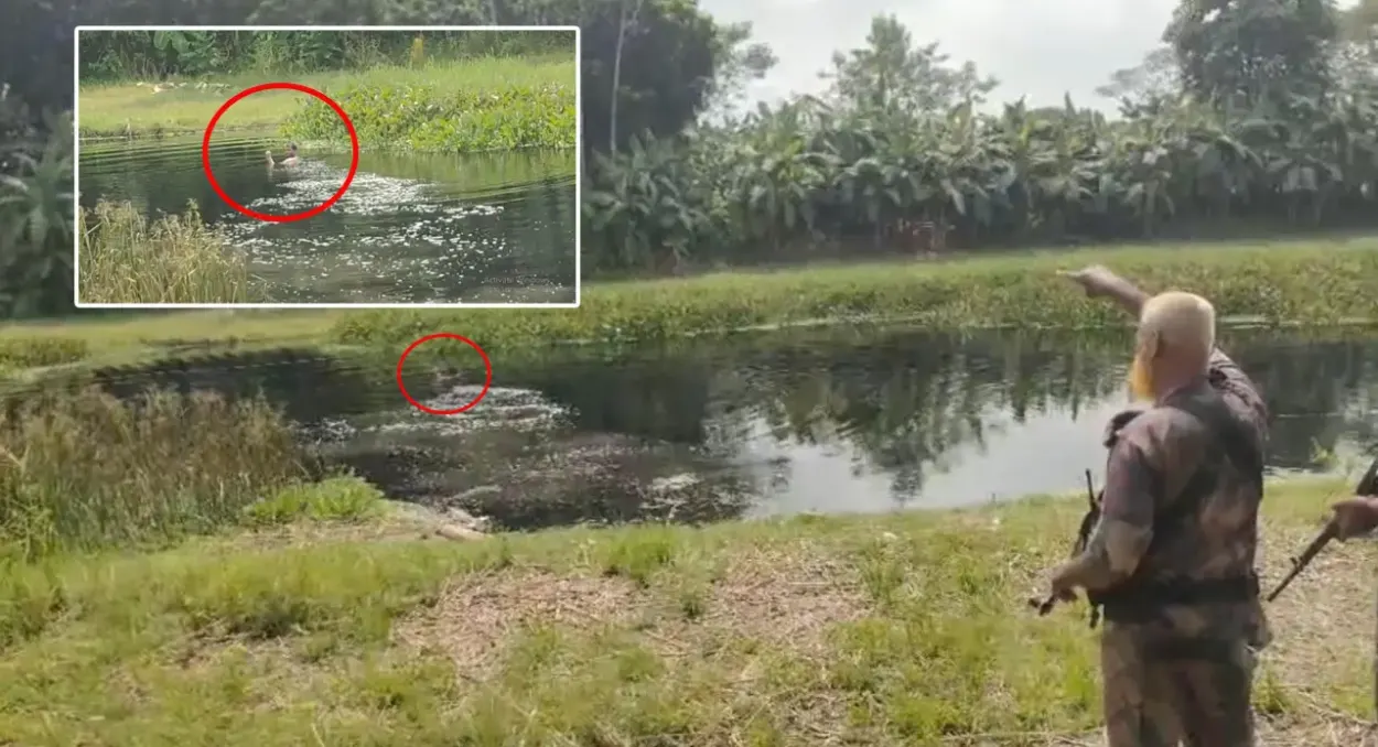মহেশপুর সীমান্তে বিএসএফের পুশইন সচেষ্টতা বিজিবির দৃঢ়তায় ব্যর্থ