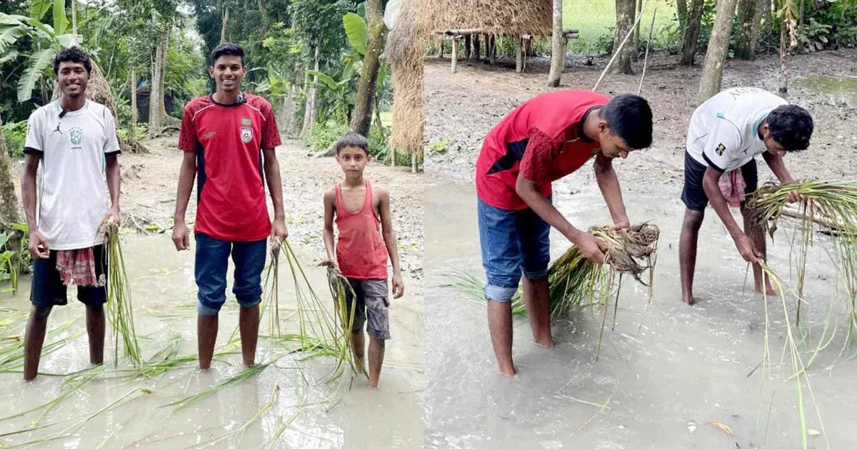 গৌরনদীতে বেহাল সড়কে ধানের চারা রোপণ করে এলাকাবাসীর অভিনব প্রতিবাদ