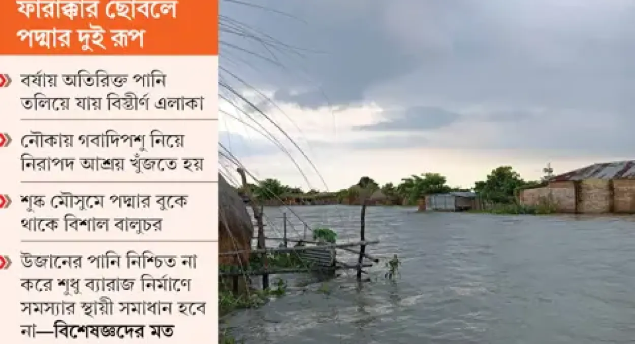 রাজশাহীতে পদ্মার পানি বিপৎসীমার কাছাকাছি, নিম্নাঞ্চল প্লাবিত হয়ে চরম দুর্ভোগে চরবাসী