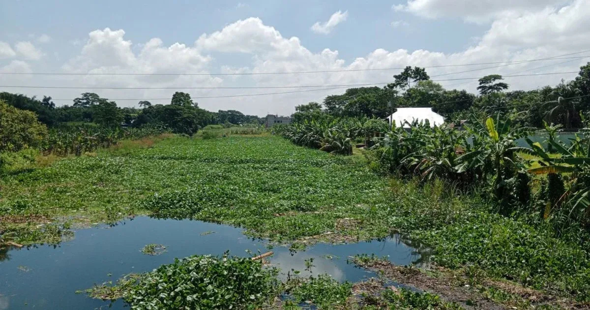দখল ও ভরাটে অস্তিত্ব সংকটে মাদারীপুরের ময়নাকাটা নদী