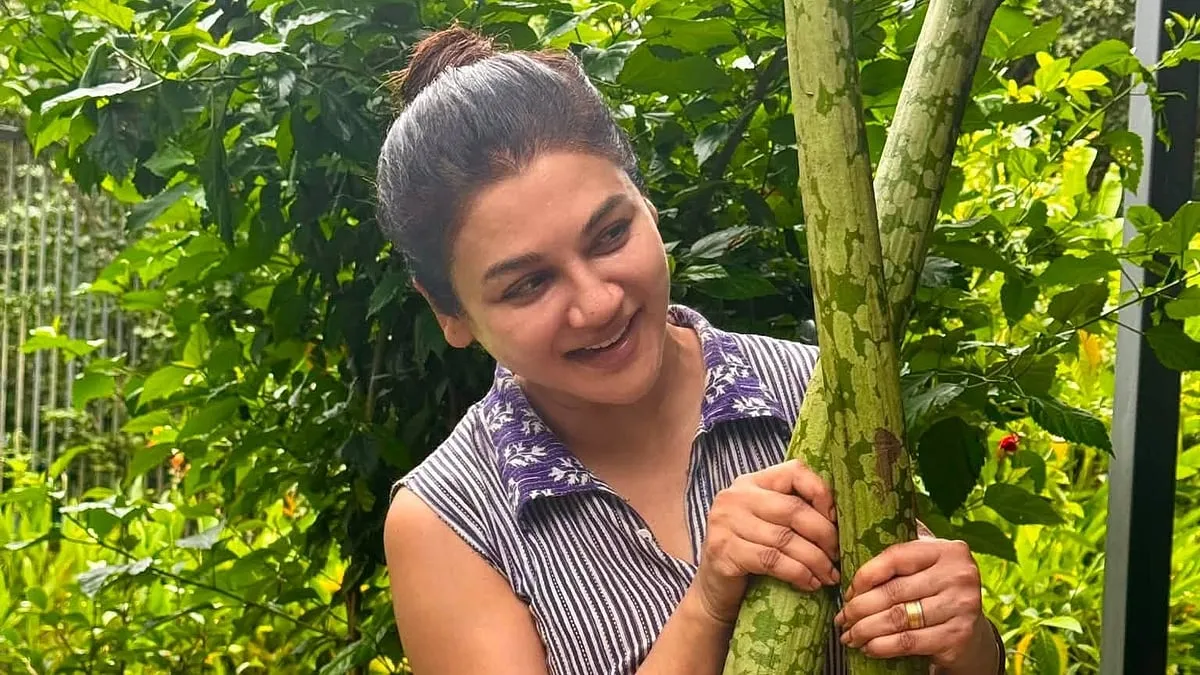 লন্ডন ফ্যাশন ফিল্ম ফেস্টিভ্যালে জয়া আহসানের হিউজ অব লংগিং