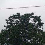 আজকের আবহাওয়া: ৩০ মে ২০২৫ (শুক্রবার)
