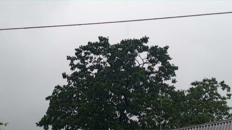 আজকের আবহাওয়া খবর: ৩০ মে ২০২৫ (শুক্রবার)