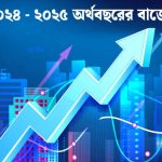 ২০২৫-২৬ অর্থবছরের বাজেটে ভোক্তাদের জন্য মিশ্র বার্তা: বাড়ছে বহু পণ্যের দাম, কিছু খাতে স্বস্তিও মিলবে