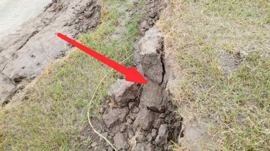 নদী ভাঙ্গনের ছবি