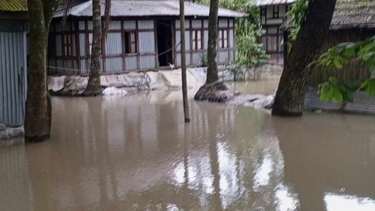 জোয়ারের পানিতে প্লাবিত শরীয়তপুরের চর জালালপুর, নদীভাঙনের হুমকিতে শত শত পরিবার