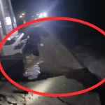 পদ্মার ভয়াল থাবায় সর্বস্বান্ত মাঝির ঘাটের মানুষ