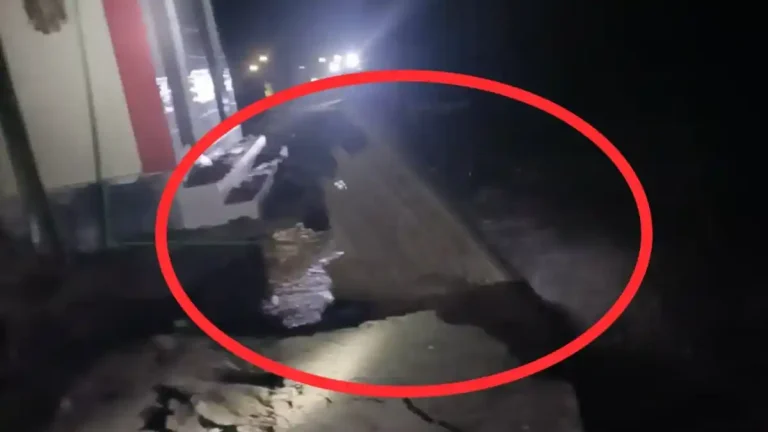 পদ্মার ভয়াল থাবায় সর্বস্বান্ত মাঝির ঘাটের মানুষ