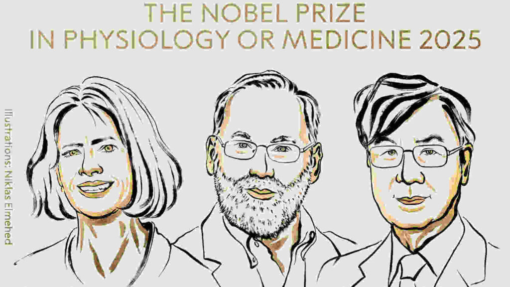 2025 Nobel Prize in Medicine: Three Scientists Unravel the Mystery of the Body's 'Self-Tolerance'The prestigious Nobel Prize in Physiology or Medicine for 2025 has been jointly awarded to three outstanding researchers for their groundbreaking discoveries concerning the human immune system. The Karolinska Institutet in Sweden today announced that Mary E. Branko (USA), Fred Ramsdell (USA), and Shimon Sakaguchi (Japan) are the recipients of this year's top honor.