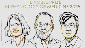2025 Nobel Prize in Medicine: Three Scientists Unravel the Mystery of the Body’s ‘Self-Tolerance’