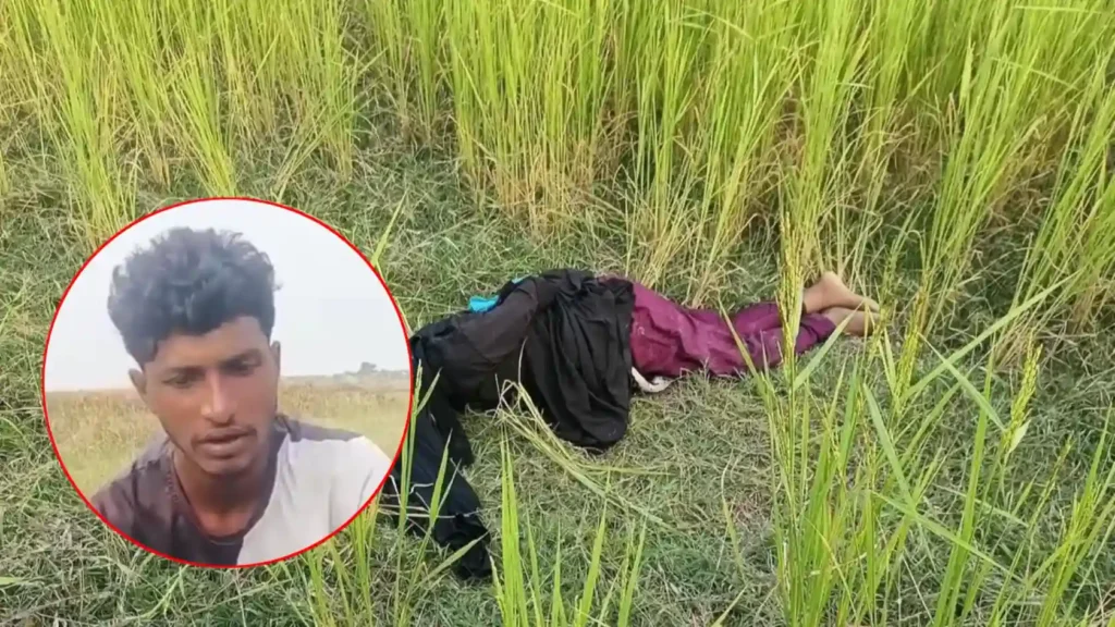 হাইমচরে সাত মাসের অন্তঃসত্ত্বা স্ত্রীকে নৃশংসভাবে হত্যা, স্বামী আটক