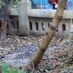 শরীয়তপুরে বিজয় দিবসের আগের রাতে বীর মুক্তিযোদ্ধার কবরে আগুন