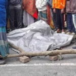 চুয়াডাঙ্গা–আলমডাঙ্গা সড়কে ট্রাকের সঙ্গে আলমসাধুর সংঘর্ষে মাছ ব্যবসায়ী নিহত