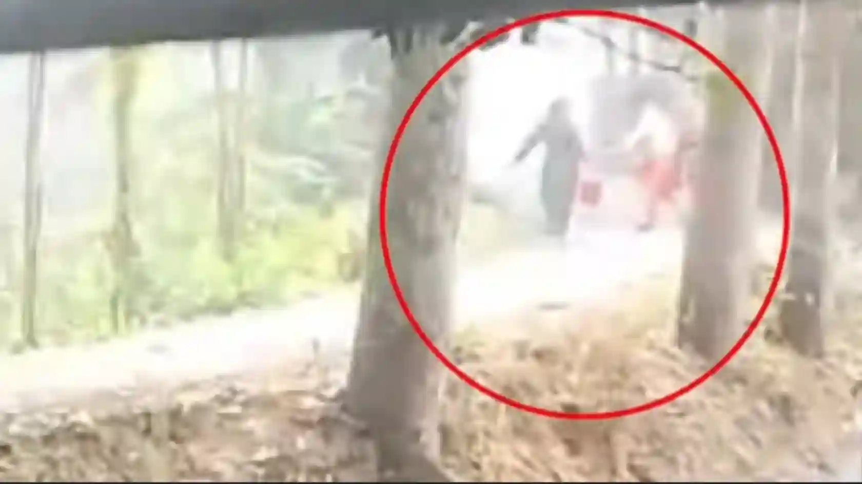 জাজিরার বিলাশপুরে দুই দফা সংঘর্ষে ককটেল বিস্ফোরণ, যুবকের কব্জি বিচ্ছিন্ন