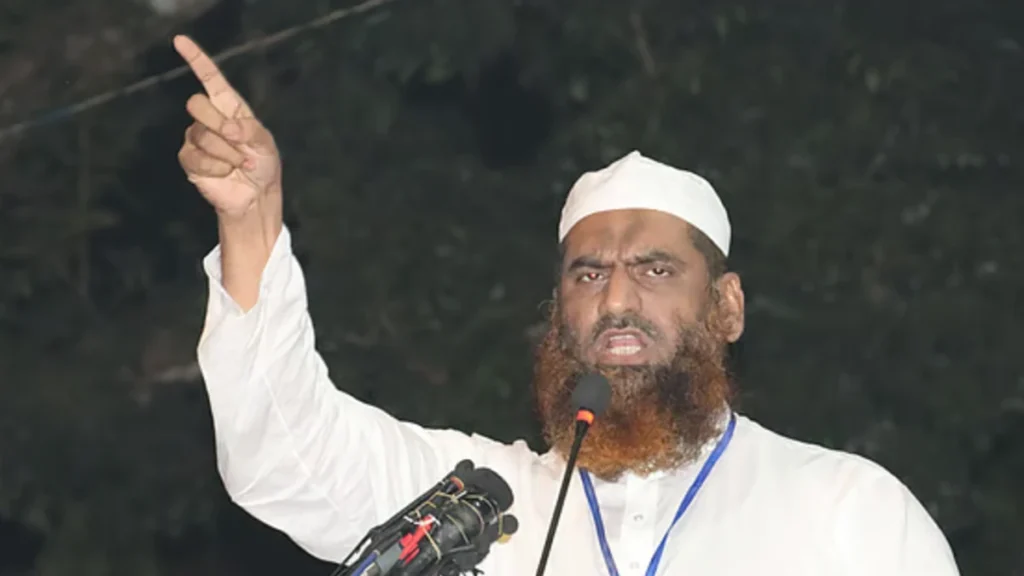 বিএনপির অবস্থান পরিবর্তন নিয়ে তীব্র সমালোচনা, ইঙ্গিতপূর্ণ মন্তব্য মামুনুল হকের