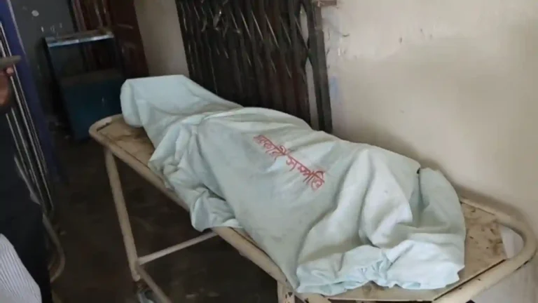 ডামুড্যায় সাইকেল-ট্রলি সংঘর্ষে শিশুর মৃত্যু, ঈদের আগে শোকে পরিবার