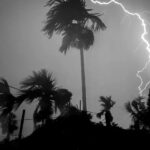 A glimpse of the storm at a speed of 60 km