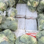 1.6 tons of drugs were seized during smuggling hidden under sacks of cabbage