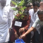 ৫ বছরে ৩ লাখ গাছ লাগাবে ঢাকা দক্ষিণ সিটি