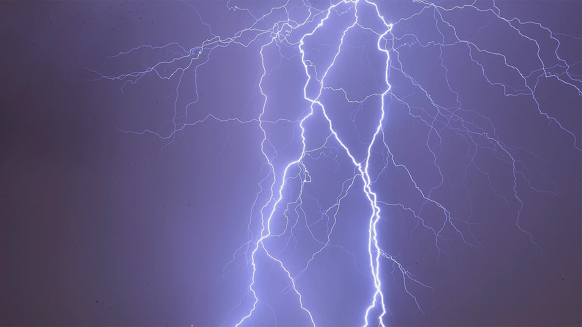 Four people died in three districts due to lightning