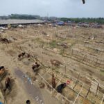 The price of one haat has risen to 14 crores, there are no bidders in four haats