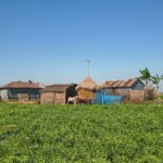 For them, Baisakh means a struggle to survive in Kalbaisakhi