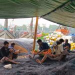 58-day ban on fishing in the sea amid the energy crisis, fishermen are worried