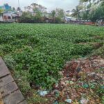 Khulna is in crisis due to reduction of reservoirs and green areas, waterlogging in monsoons, water does not rise in summers