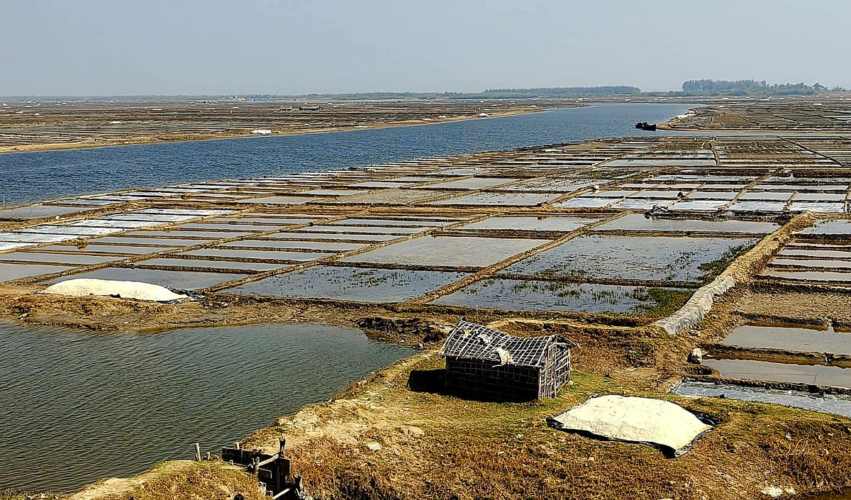Low prices, shock of rain, 42 thousand salt farmers of Cox’s Bazar are in trouble