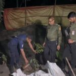 Illegal lead manufacturing factory closed in Dhamrai, saplings were planted along with fines