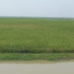 Howre Dhankata: To deal with the labor crisis, sand extraction is being stopped in Jadukata river