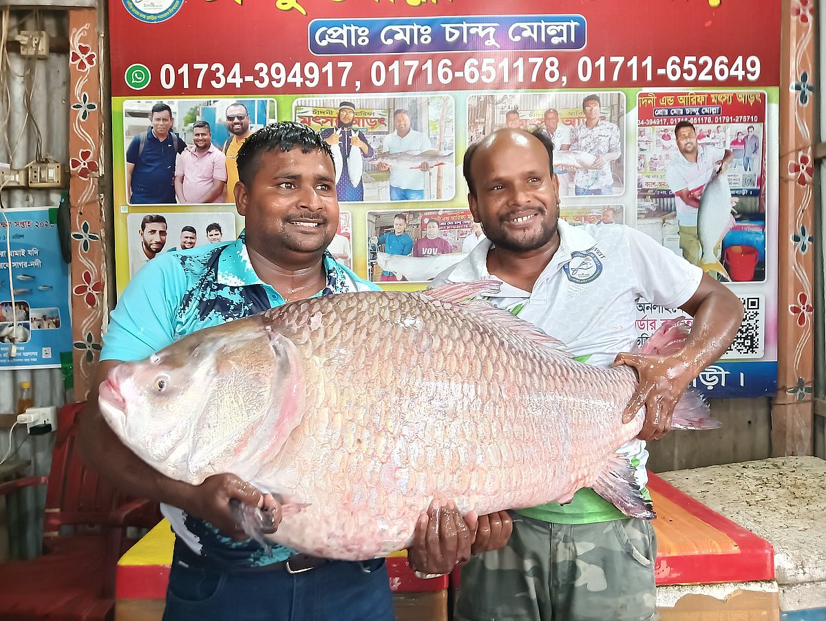 Padma sold two Katla-Rui for lakhs of taka