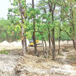 Environmental Crisis: Gazipur City Corporation Builds Garbage Station Inside Bhawal National Park by Force