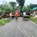 Double Storms Ravage Thakurgaon Crops