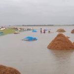 In Sunamganj, due to heavy rains and landslides, paddy fields are drowning, two dams have broken
