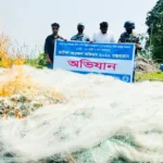 হাইমচরে জাটকা বিরোধী অভিযান: দেড় লাখ মিটার জাল ও বিপুল মাছ জব্দ