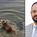 State Minister Tukur ordered to punish the guilty by investigating the dog-crocodile incident